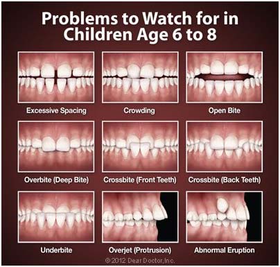 ortho 1 ortho 1