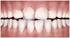 ortho 3 ortho 3